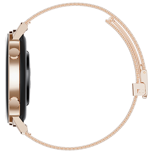 gt2 gold 42mm